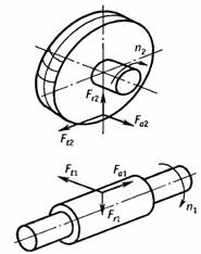 Силы в зацеплении червячного редуктора